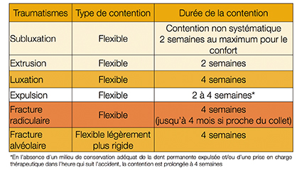 4 - Durée de contention en fonction du type de traumatismes intéressant les dents permanentes. La contention classique de 2 semaines est prolongée de 2 semaines en cas de fracture osseuse. Elle peut durer 4 mois en cas de fracture radiculaire dans le tiers coronaire responsable d’une importante mobilité du fragment coronaire.