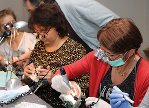 Cycle long dentisterie esthétique photo 2 Cycle long dentisterie esthétique photo 2