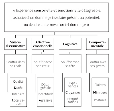 Tableau numéro 1 - La douleur inflammatoire aiguë : physiopathologie – évaluation – prise en charge