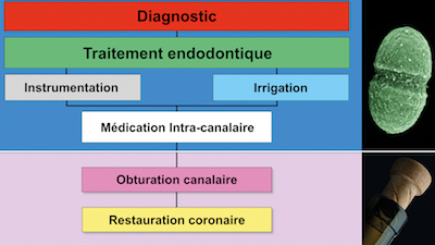 illustration 2 Dr Jouanny