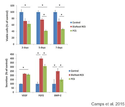 BioRootTM RCS(Septodont, Saint-Maur-des-Fossés) est un exemple de ciment tricalcique qui a montré des propriétés biocompatibles et bioactives intéresssantes (ici en comparaison avec un ciment à base d’oxyde de zinc eugénol : PCS ou Pulp Canal Sealer)