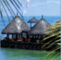 9e Journées dentaires de l'île Maurice