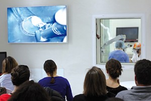 Masterclass endodontie