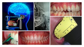 Cycle long Occlusodontie 2021